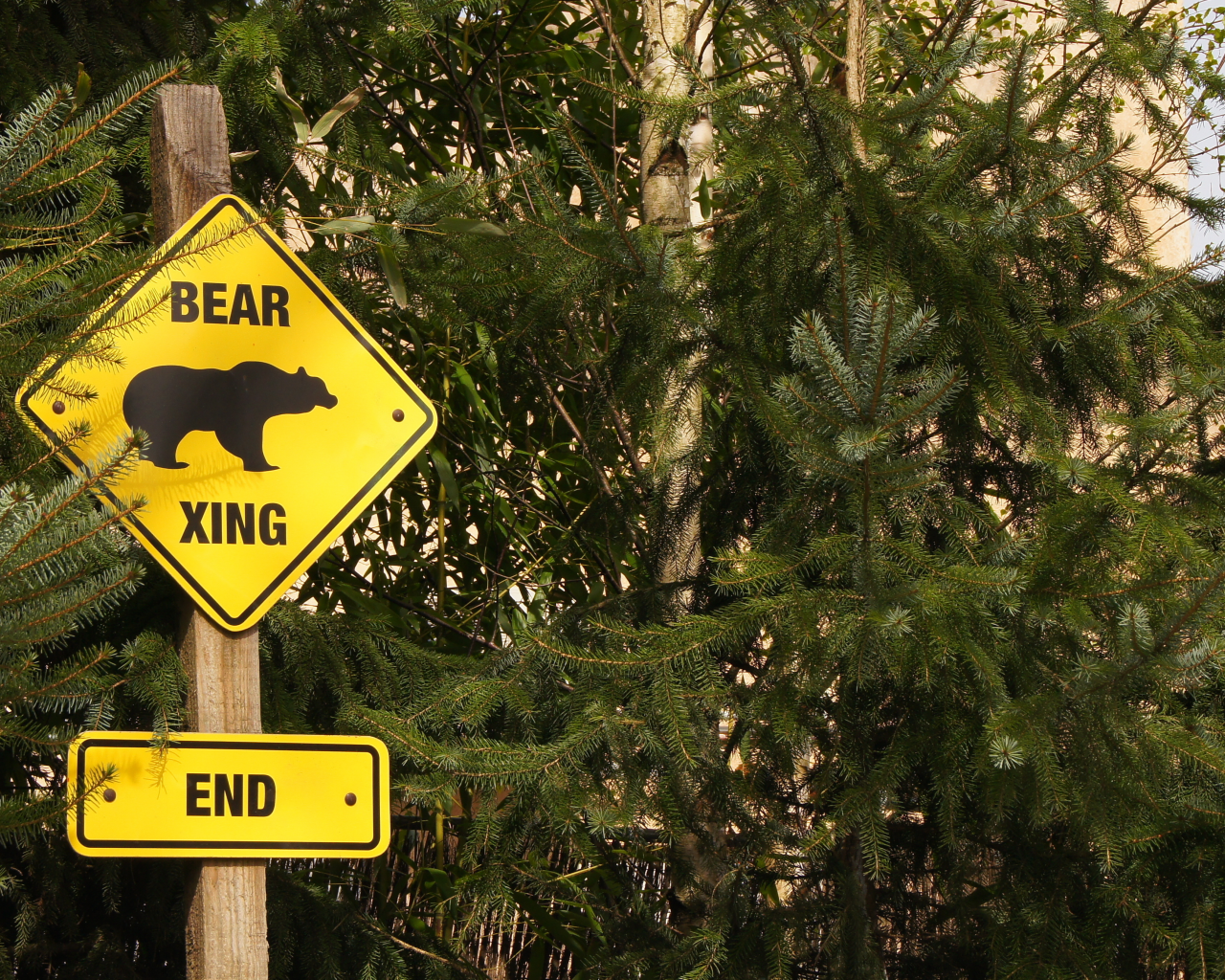 end, bear, zoo, logo