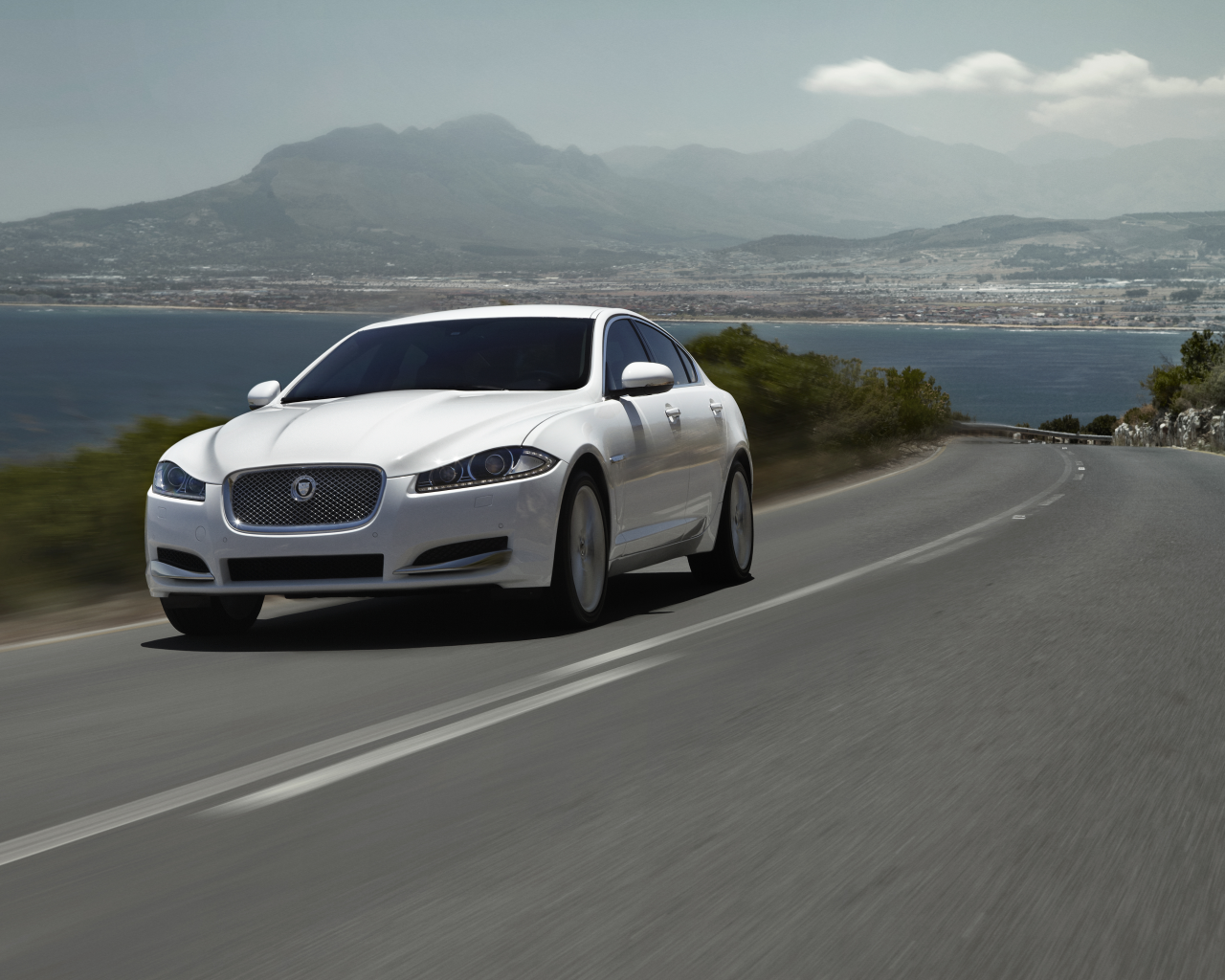 jaguar, xf, море