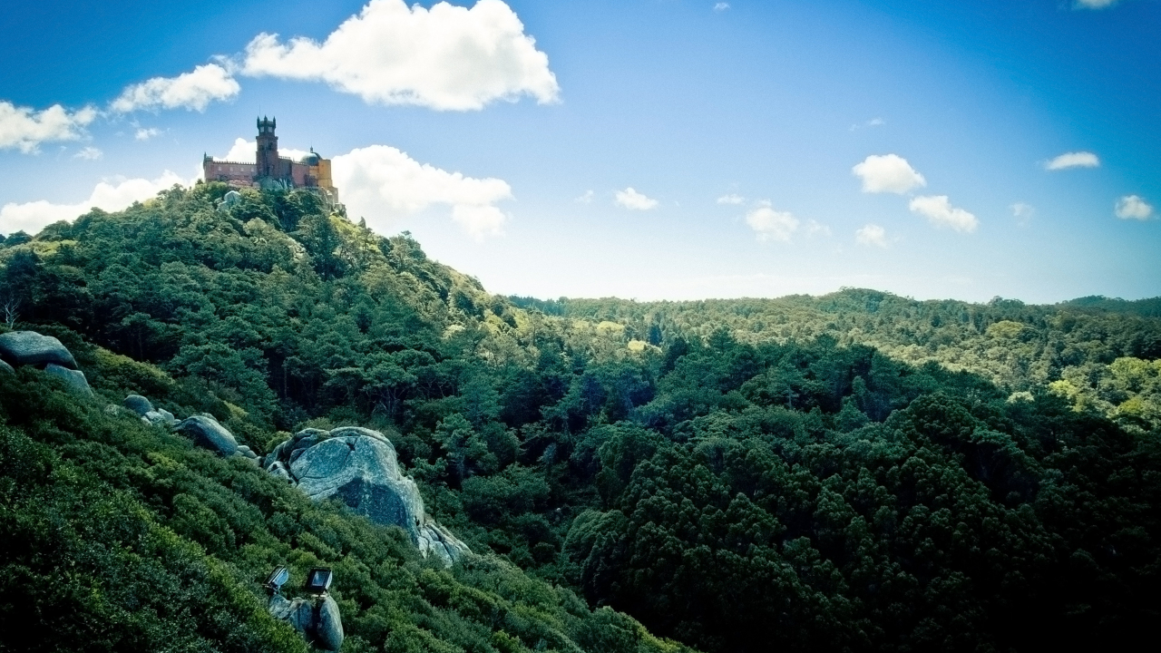 palacio da pena, зелень, замок, португалия