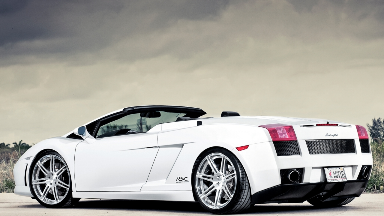 auto wallpapers, gallardo, авто фото, белый, lamborghini, тачки, авто обои, cars