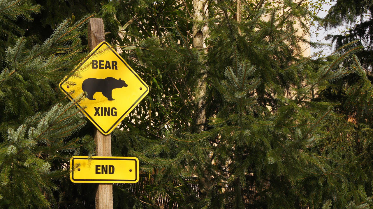 end, bear, zoo, logo