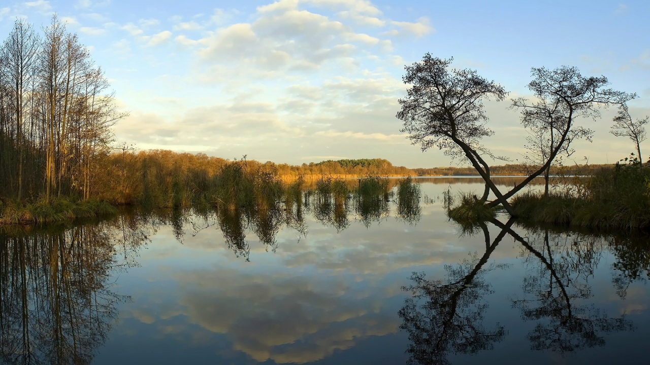 озеро, природа, деревья, неба, отражение