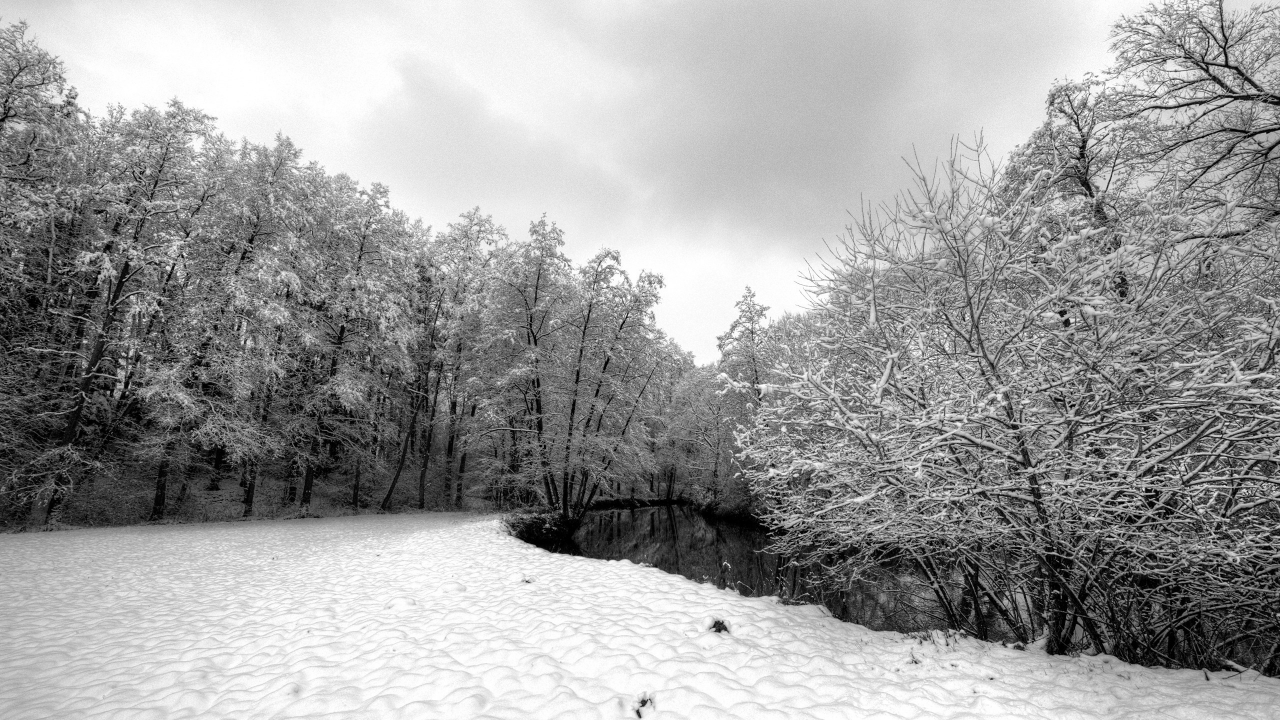 снег, winter, серость, речька, зима