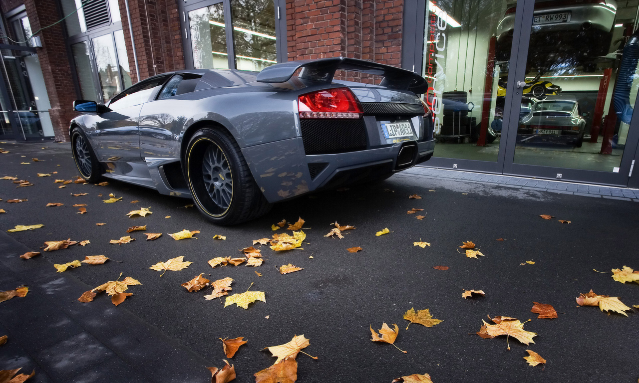 осень, сзади, lamborghini