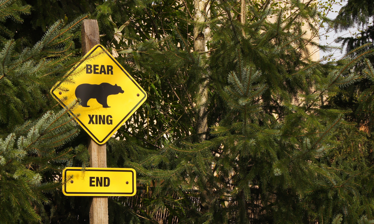 end, bear, zoo, logo