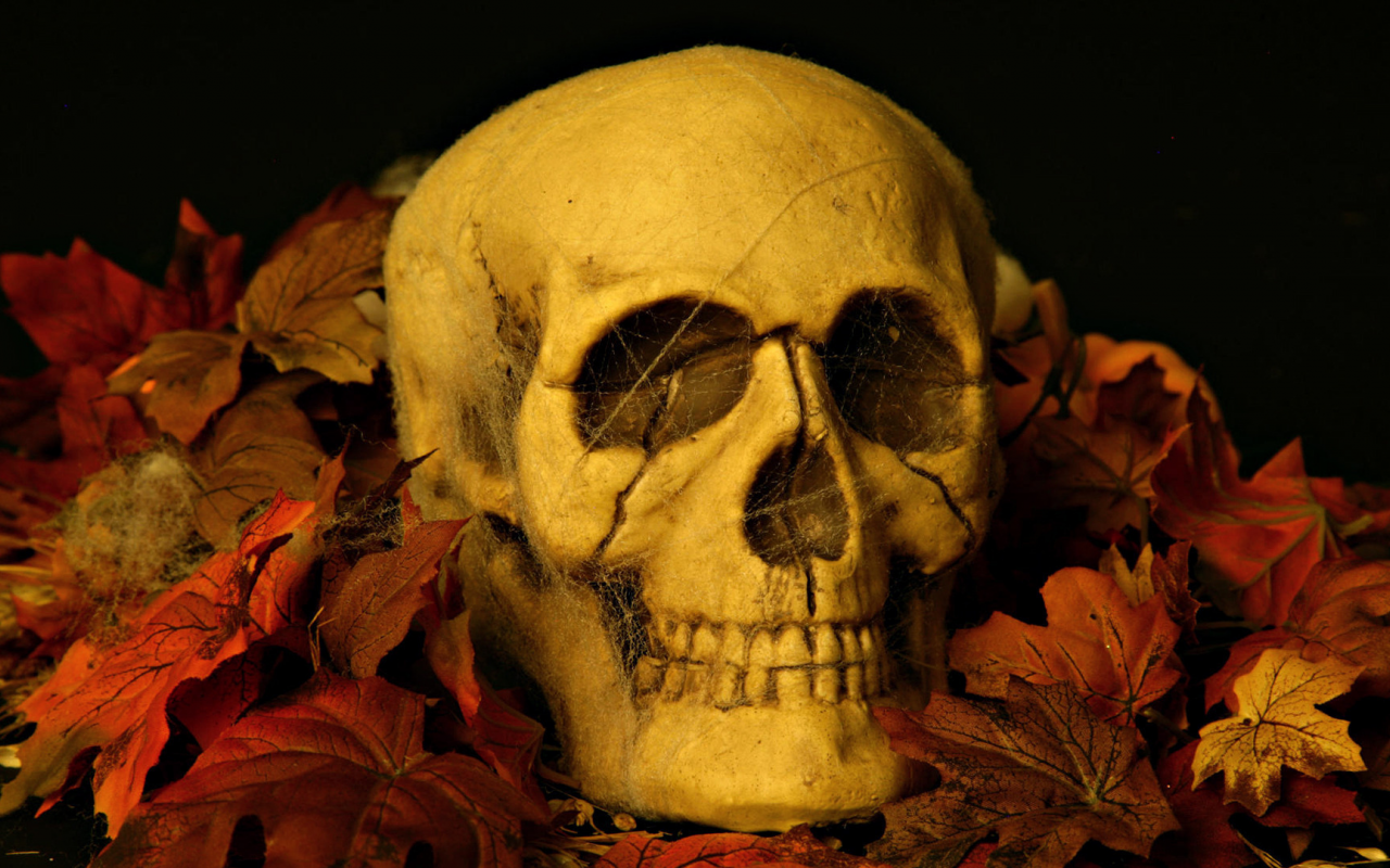 хеловин, череп, листья