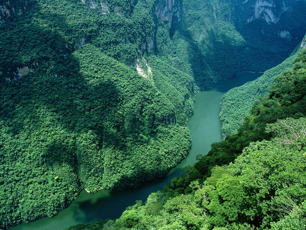 del sumidero, ca____n, mexico