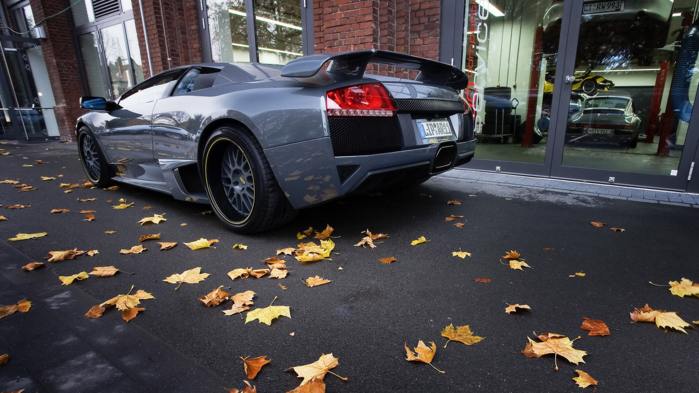 осень, сзади, lamborghini