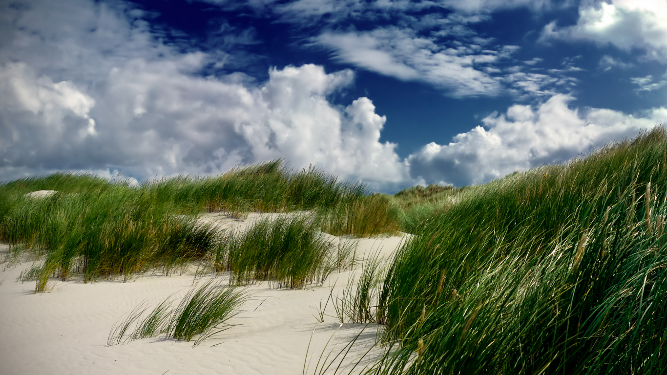 трава, облака, дюна, песок