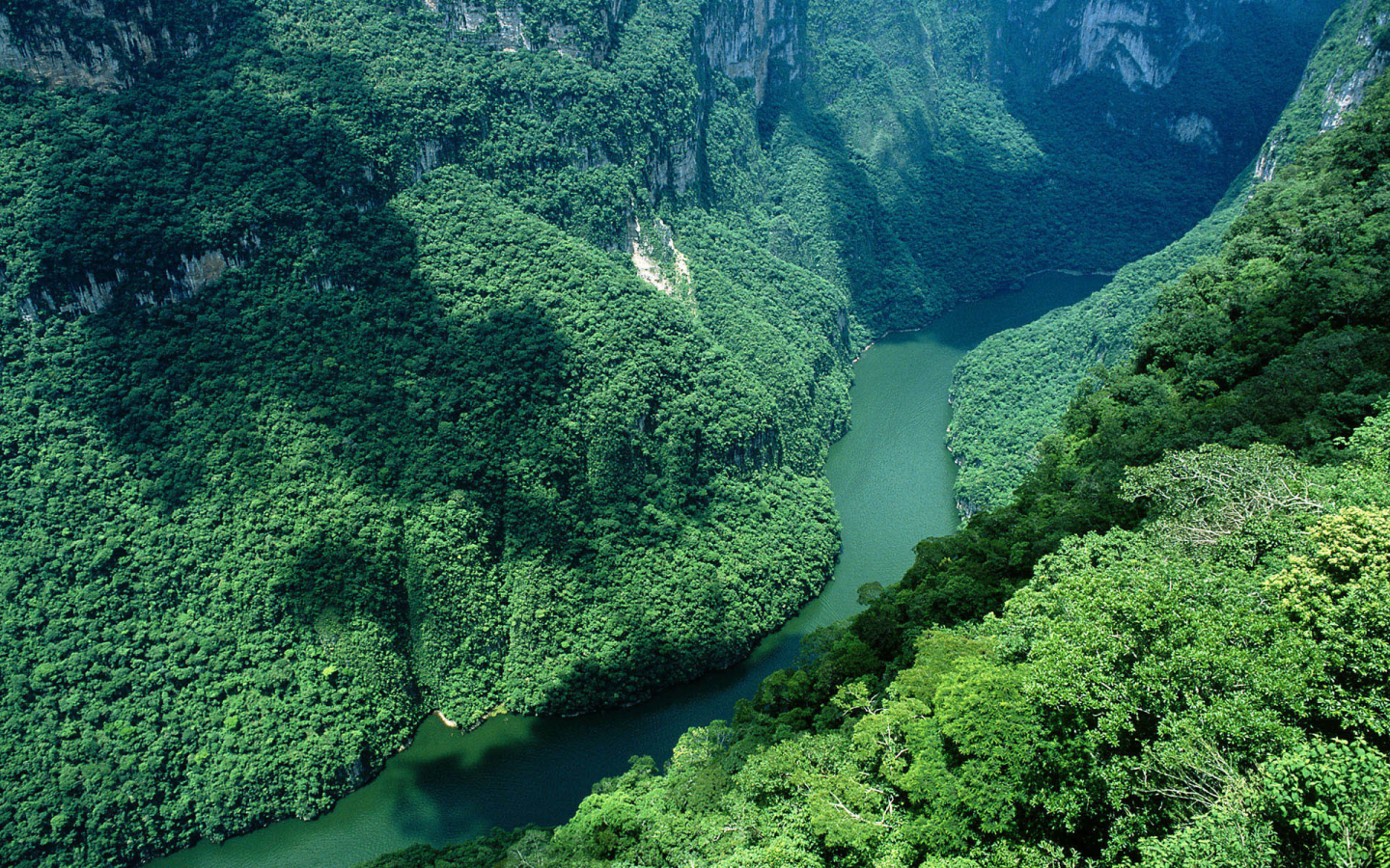 del sumidero, ca____n, mexico