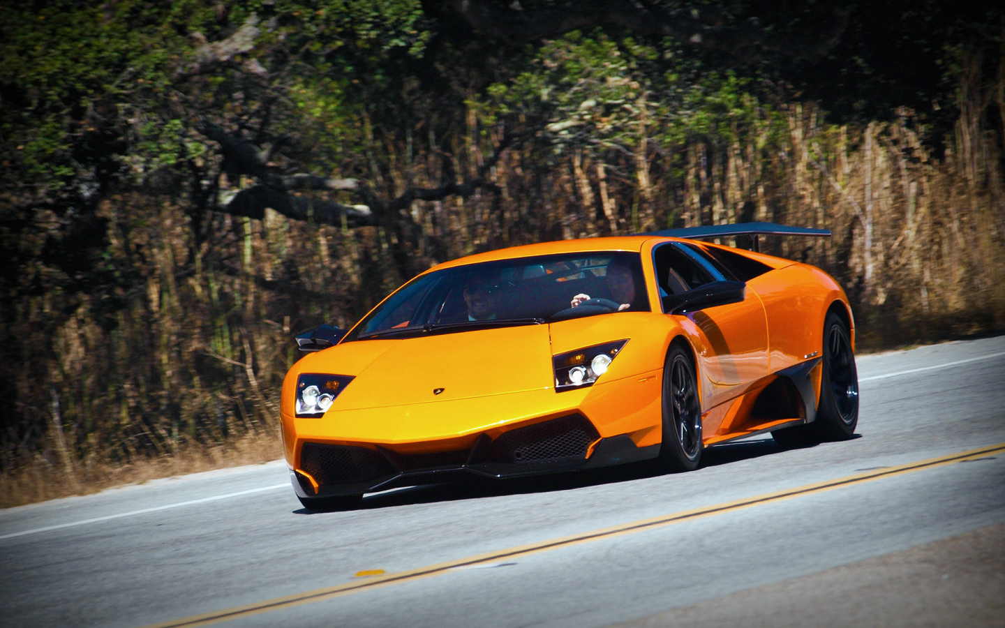 superveloce, murcielago, lamborghini