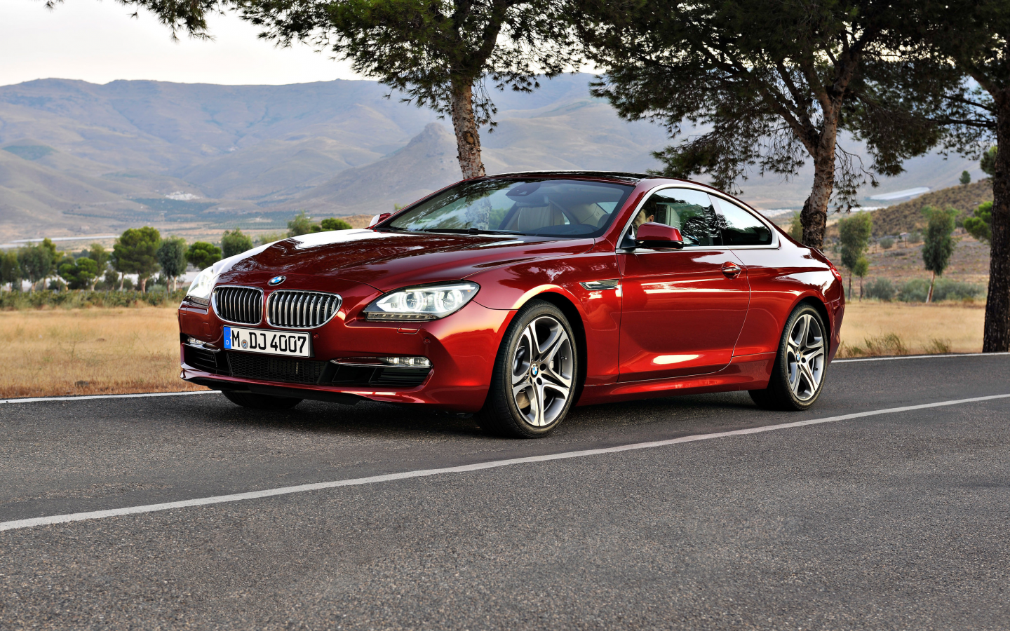 машина, road, дорога, bmw 6 series coupe, car, деревья, trees