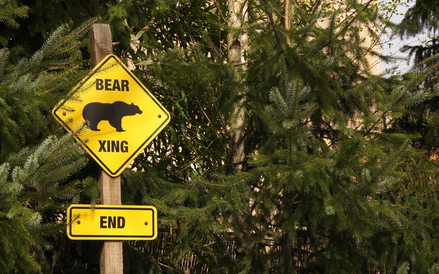 end, bear, zoo, logo