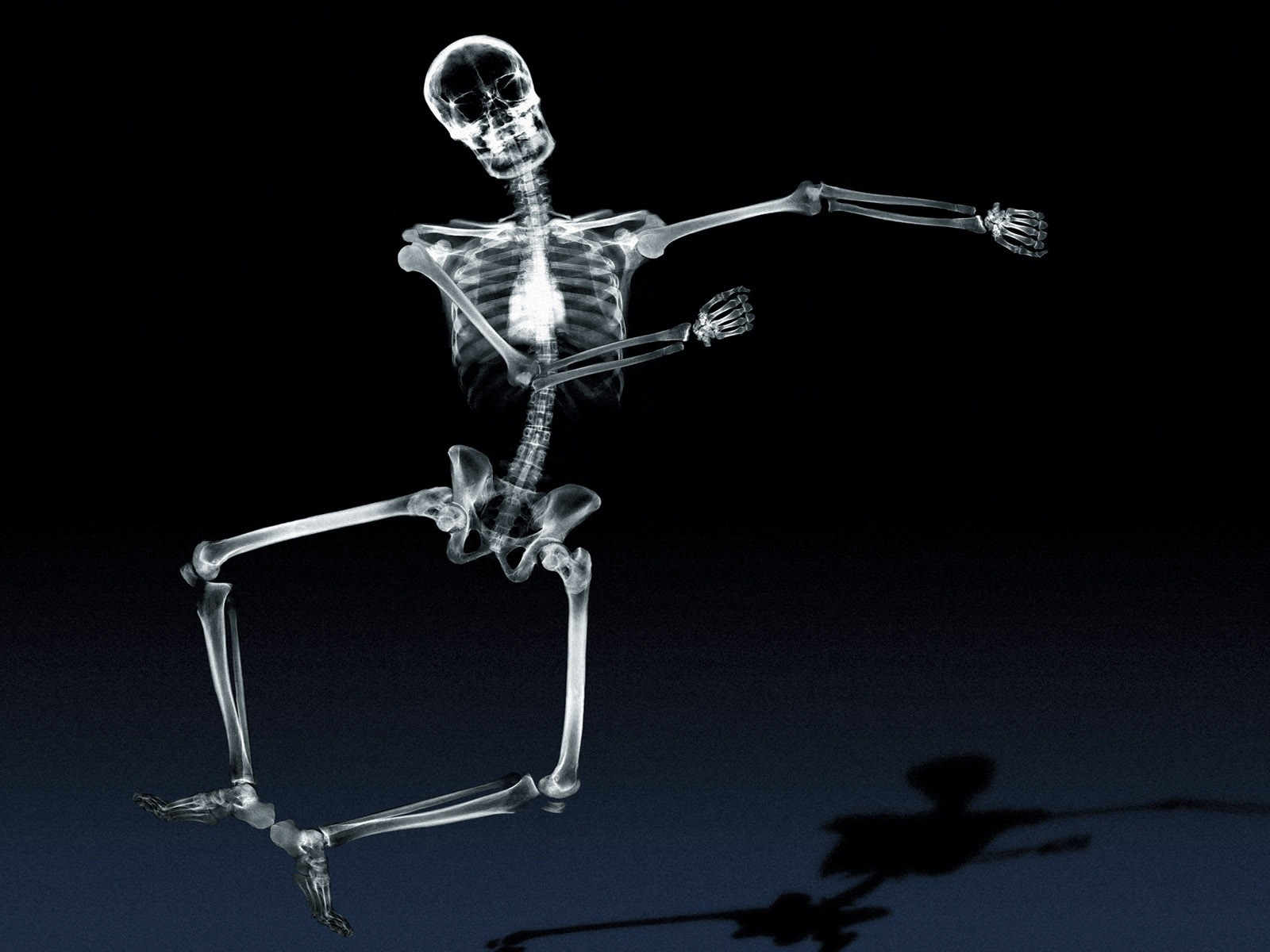 танцует, рентген, скелет, кости, тень