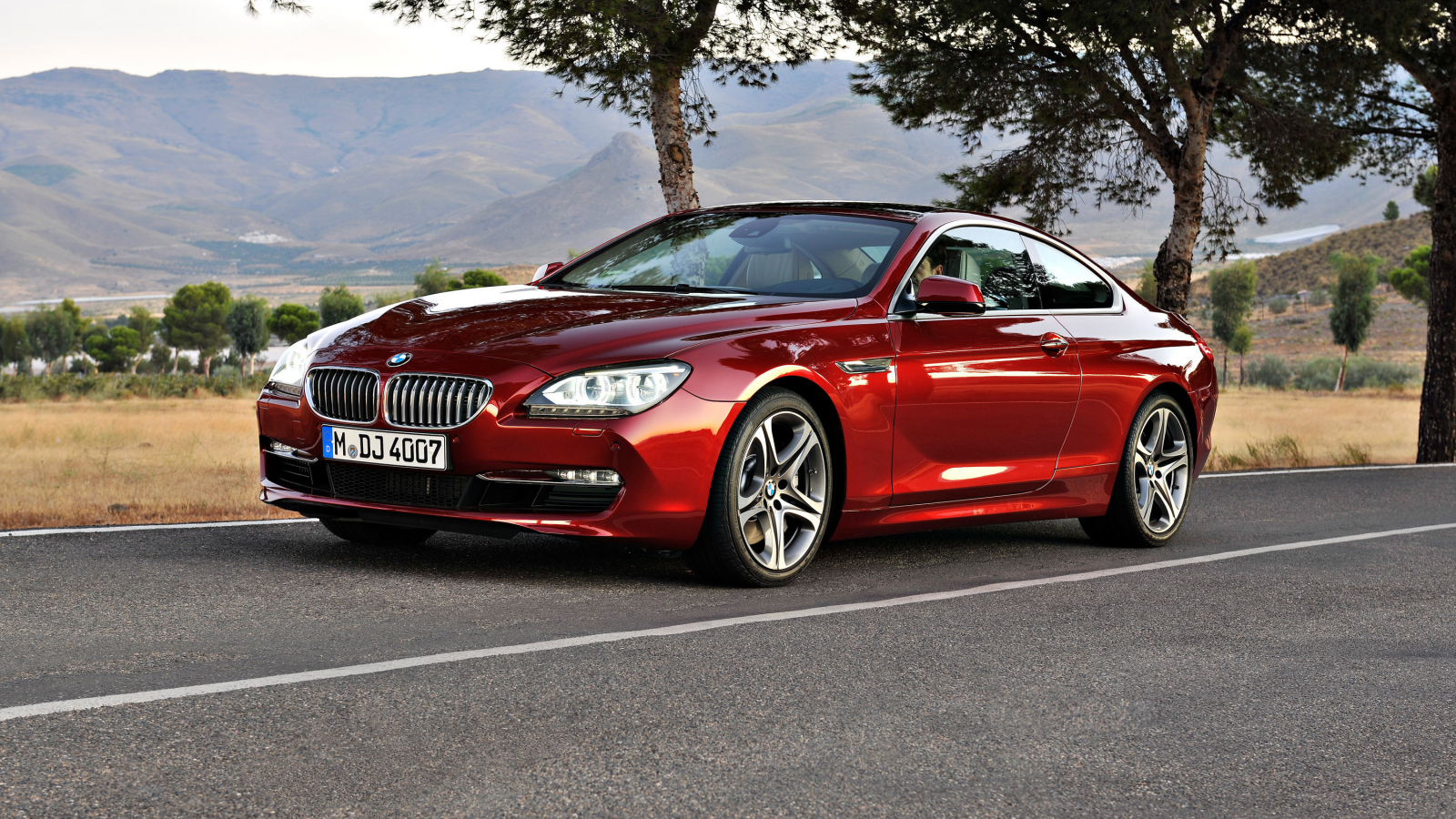 машина, road, дорога, bmw 6 series coupe, car, деревья, trees