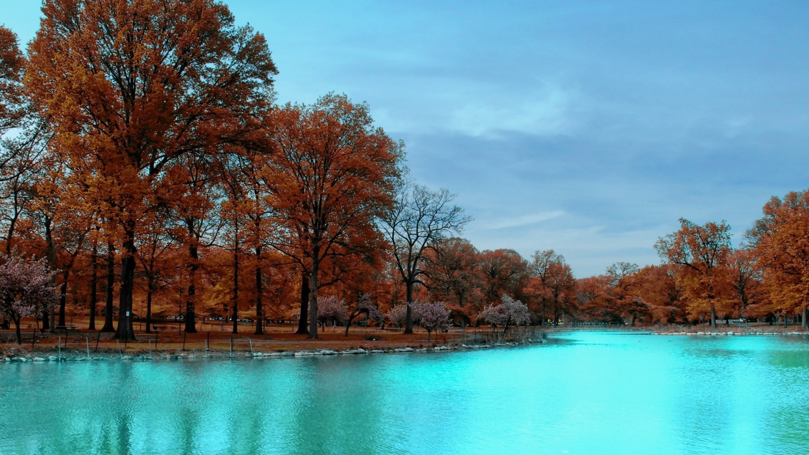 вода, деревья, осень, небо, парк
