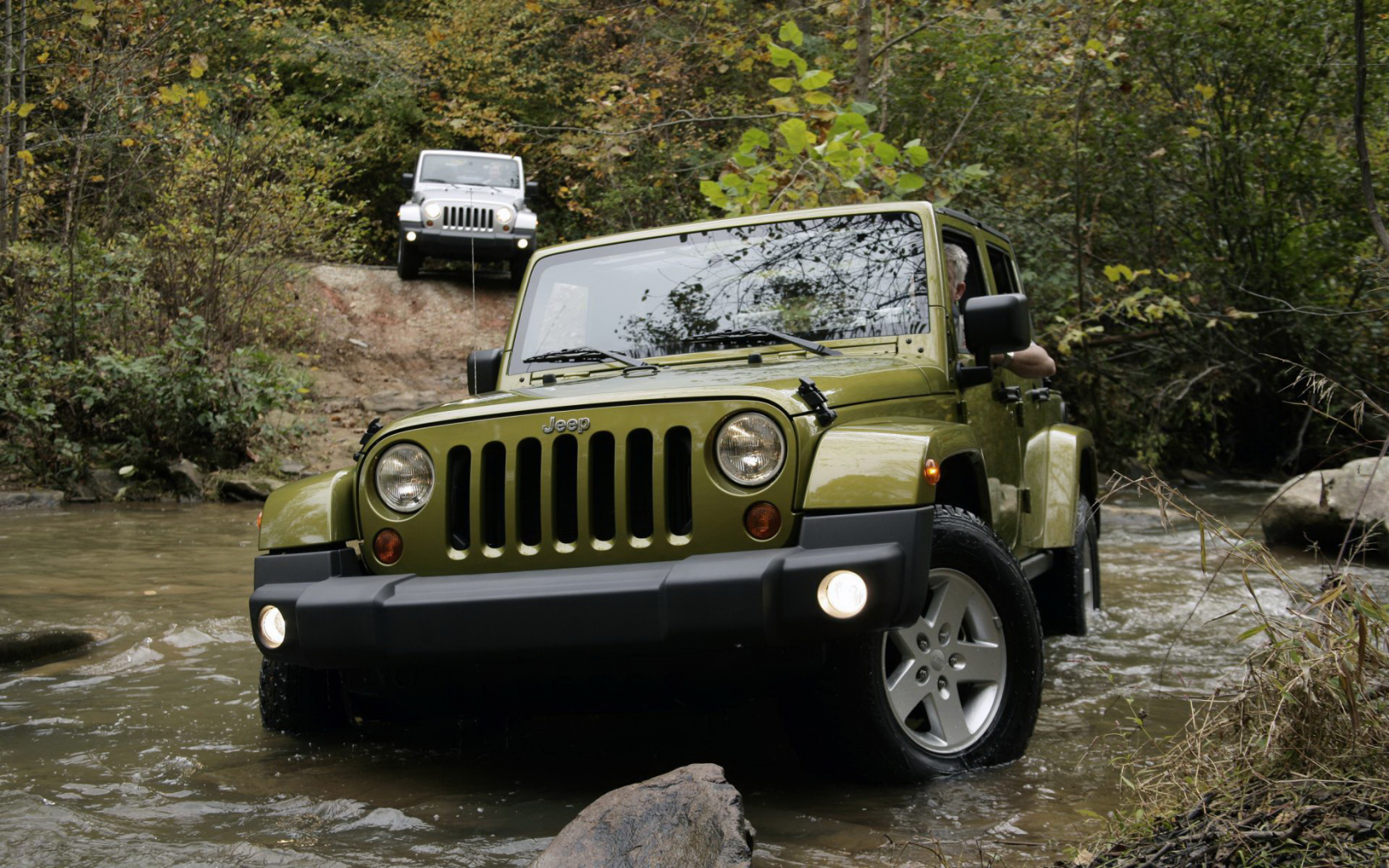 лес, jeep, машина, вода, джип, wrangler, автомобиль, бездорожье