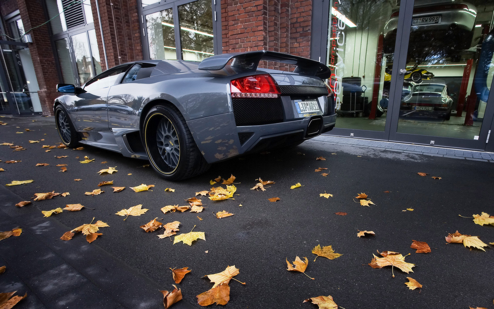 осень, сзади, lamborghini