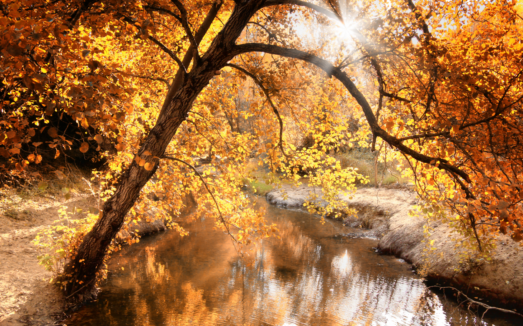 река, природа, свет, осень