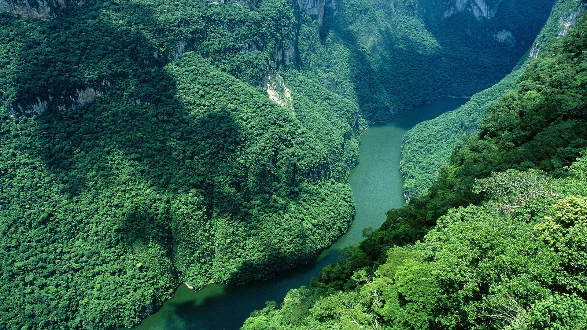 del sumidero, ca____n, mexico