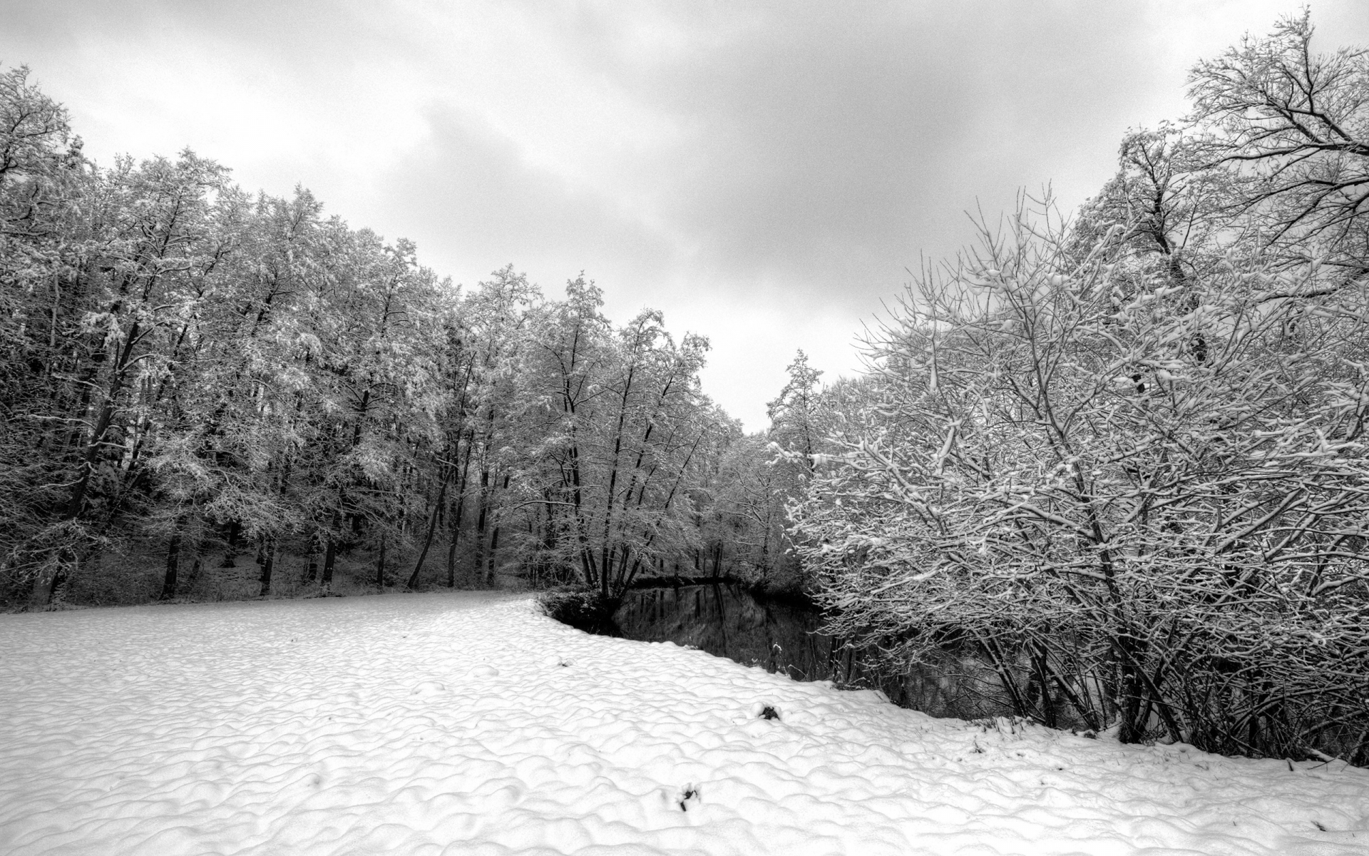 снег, winter, серость, речька, зима