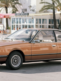 бронза, классика, 630cs (e24), 1976-79, bmw