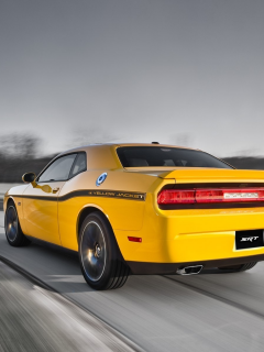 додж, yellow, challenger, 392, srt8, jacket, dodge