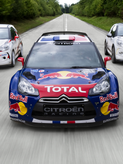 ds3, ситроен, rally, citroen, дс3, ралли, ralli, wrc