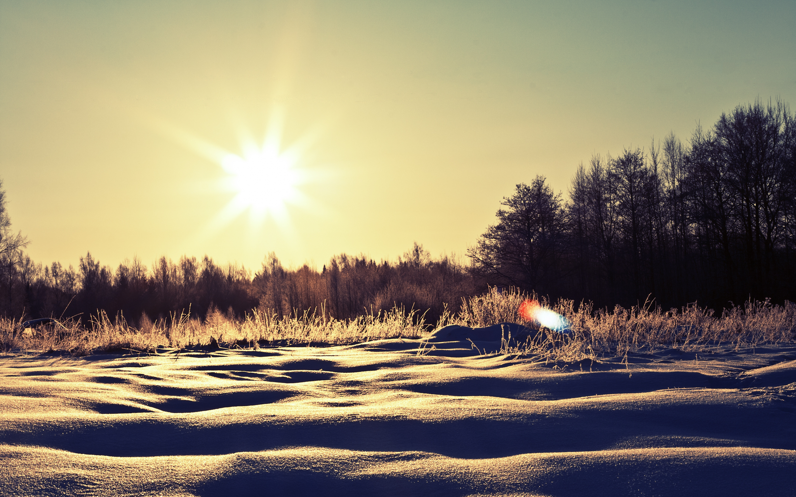 солнце, снег, сугробы, природа, деревья, зима
