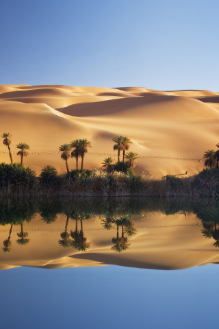 оазис, озеро, пальмы, ливия, сахара, пустыня, дюны, песок
