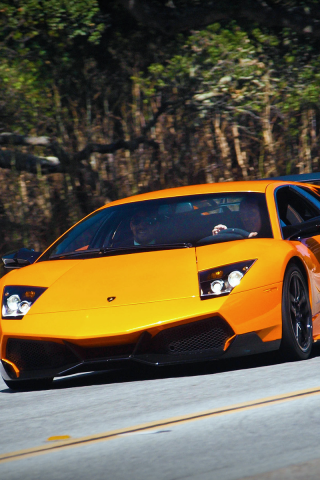 superveloce, murcielago, lamborghini