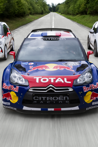 ds3, ситроен, rally, citroen, дс3, ралли, ralli, wrc