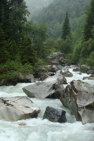 зелень, река, русская природа, камни
