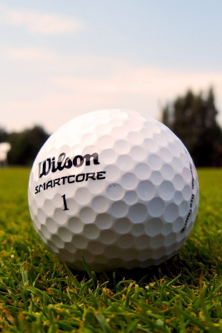 гольф, мячик, ball, газон, трава, golf