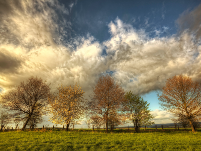 природа, небо, деревья, облака, поле, весна