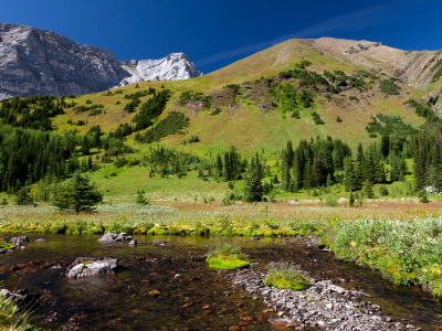 nature, природа, ручей, горы, деревья, трава, brook, grass, mountains, water, зелень, landscape, trees, вода, 2560x1600, greenery, пейзаж