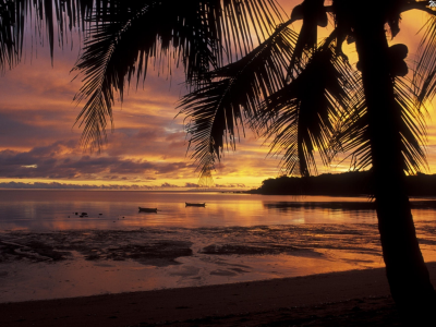 пальма, остров, закат