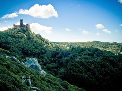 palacio da pena, зелень, замок, португалия