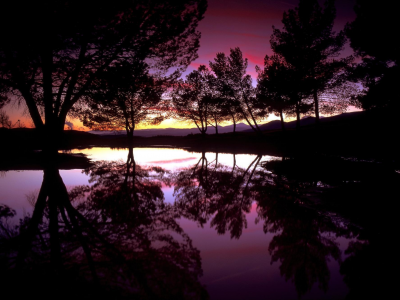 отражение, озеро, вода, закат, силуэты, вечер, деревья
