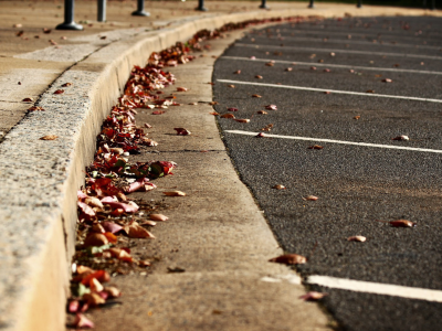 стоянка, листья, осень, асфальт, тротуар, фото, бордюр, макро