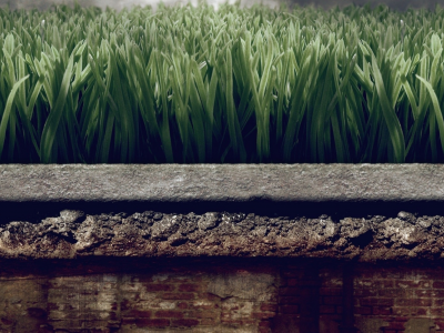 клумба, трава, камень, растение