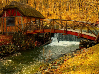 реки, природы, пейзаж, деревья, листья, осенью, мельница
