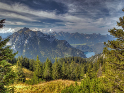 ели, баварские альпы, лес, озеро, горы, деревья