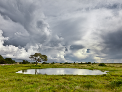 namibia, okaukuejo, the water hole