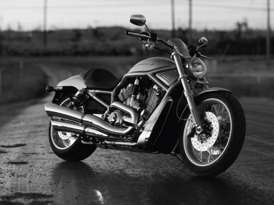 v-rod, чёрно-белый, байк, мотор, harley davidson, мотоцикл, харлей девидсон