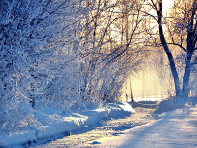 деревья, дорога, зима, иний, природа, снег