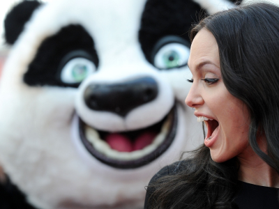 девушка, улыбка, kung-fu panda, анджелина джоли, актриса, angelina jolie, кунг-фу панда, волосы