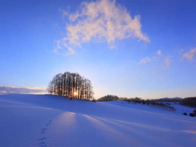солнце, снег, зима, закат, деревья