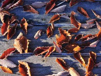 осень, доски, листья