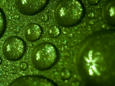 drops, green, water, обои